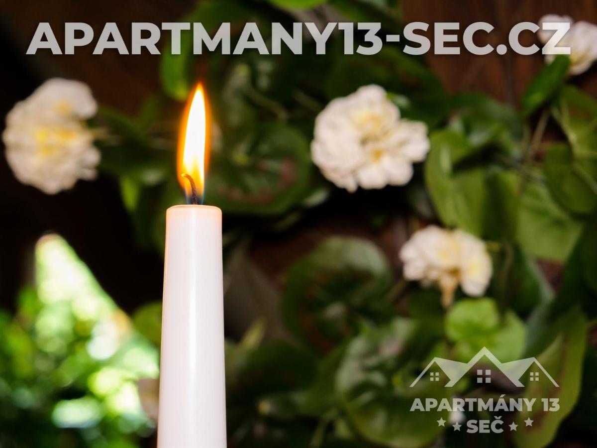 Apartment Apartmanovy Dum 13 Podkrovi 2 *